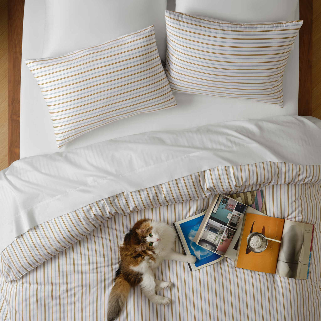 Luxe Sateen Dreamweave Starter Bundle